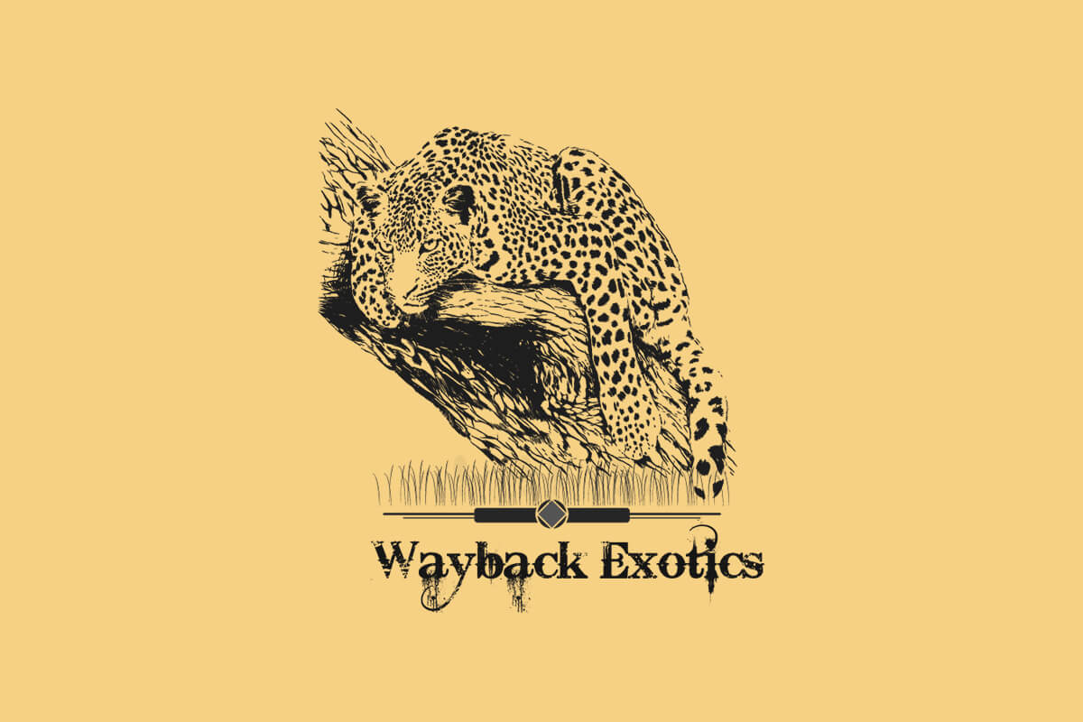 Logo Downloads Logo Downloads